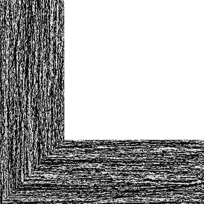 Rama foto Leon negru A3