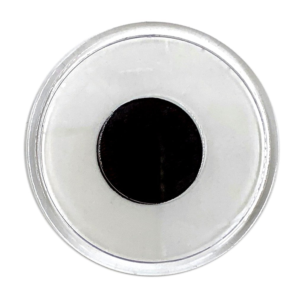 Magnet plastic insertie foto rotund Ø6cm