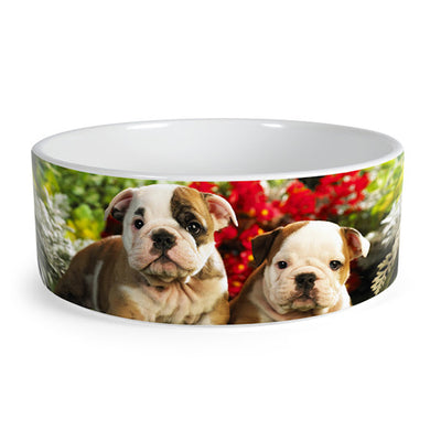 Bol ceramica pentru caine sublimabil