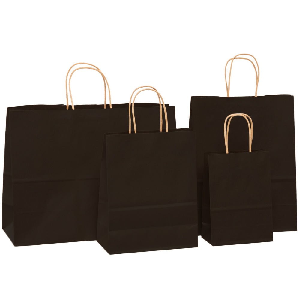 Sacosa kraft neagra 22x23 BO7539S102 - Green Print