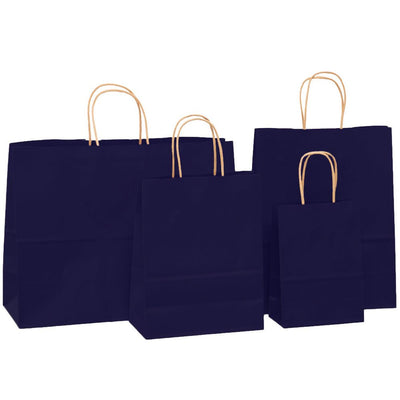 Sacosa kraft albastru inchis 25x31 BO7538S155 - Green Print