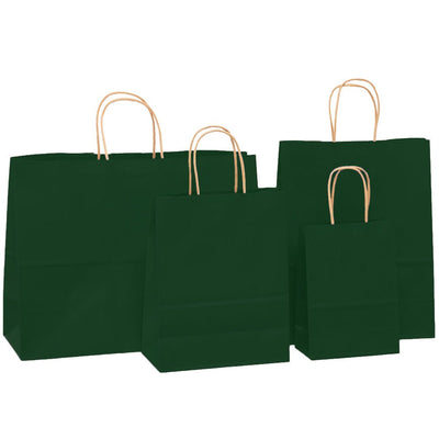 Sacosa kraft verde inchis 25x31 BO7538S1226 - Green Print