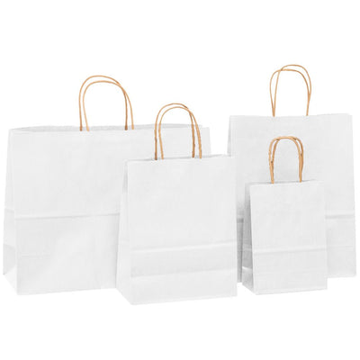 Sacosa kraft alba 22x23 BO7539S101 - Green Print