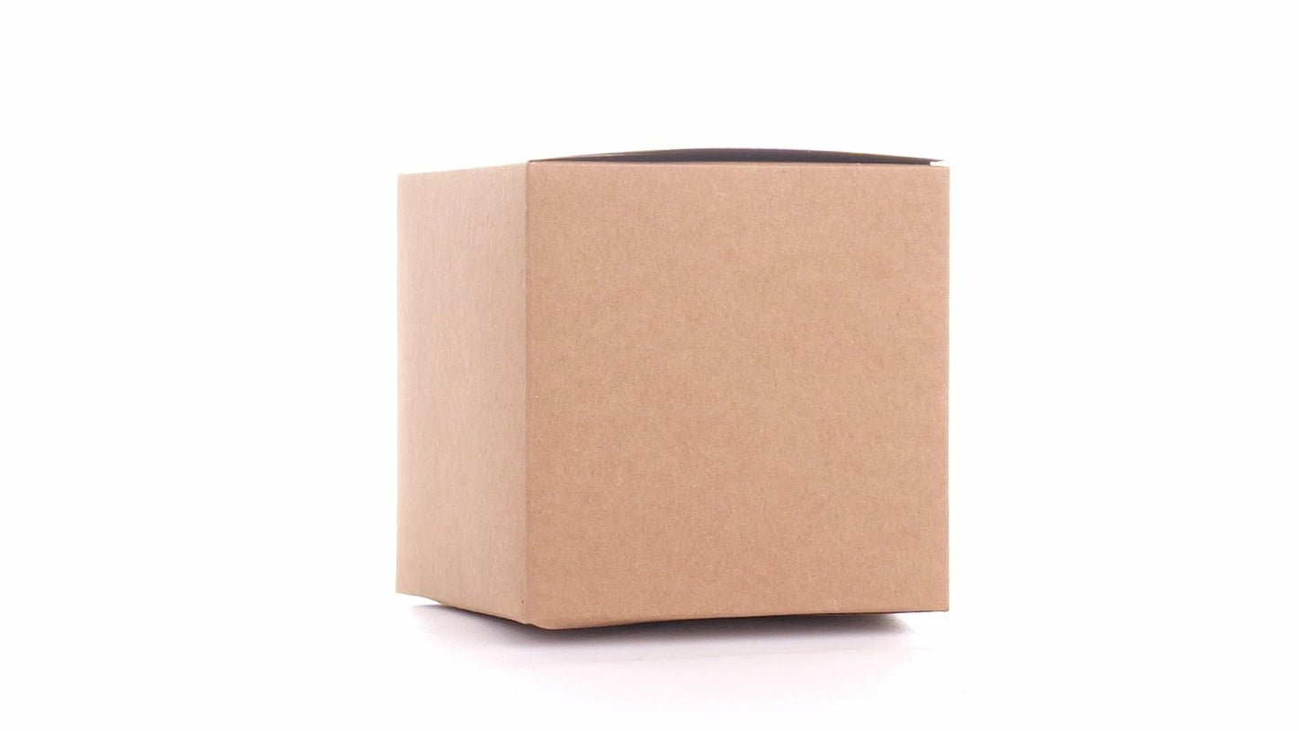 Kraft mug box