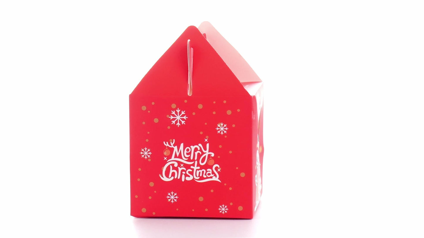 3D Merry Christmas red dog bowl