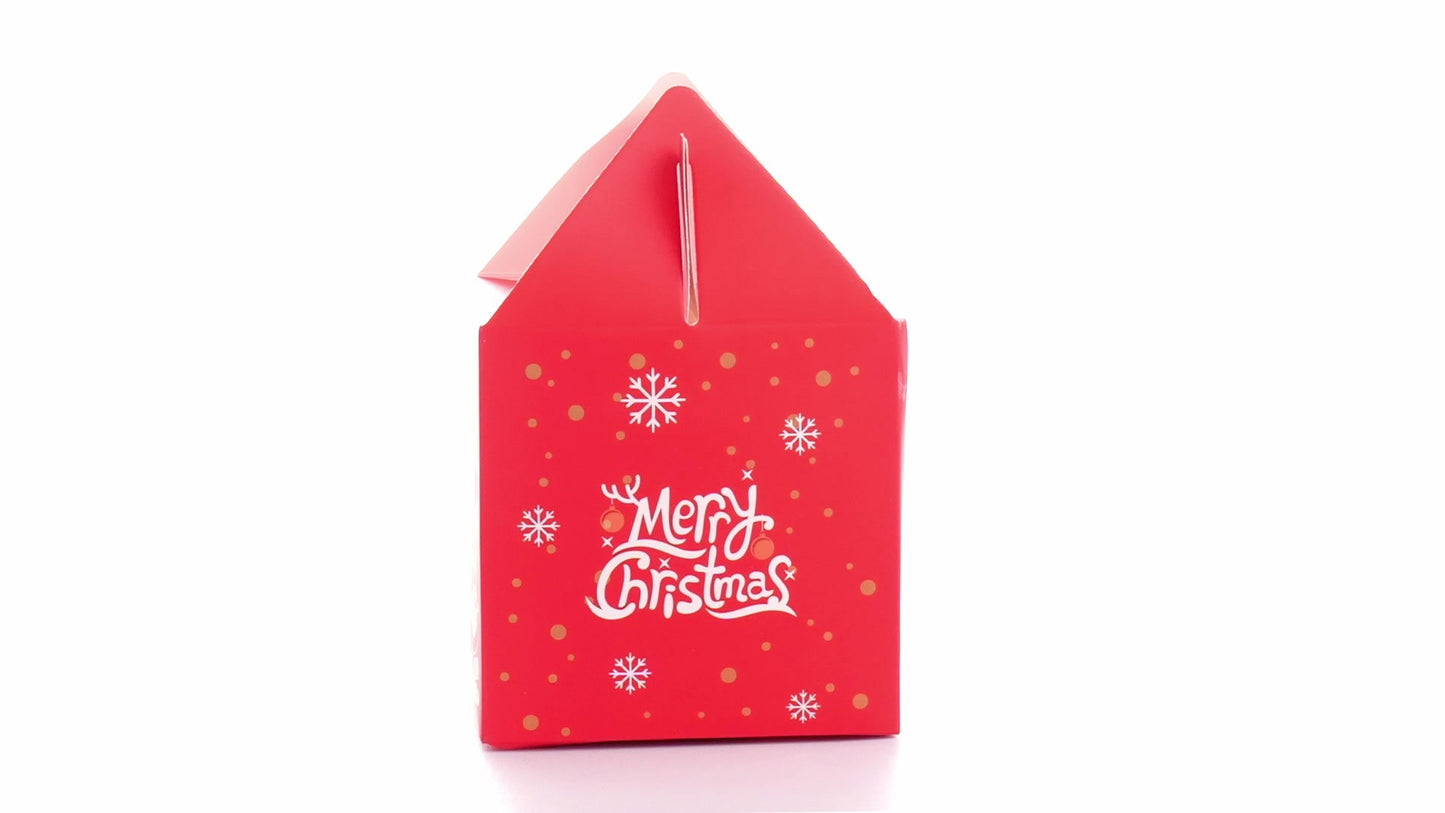 3D Merry Christmas red dog bowl