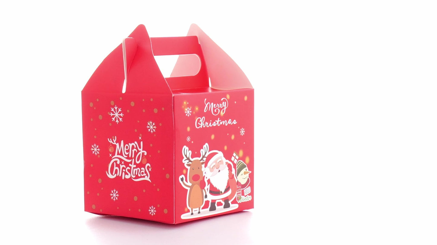 3D Merry Christmas red dog bowl
