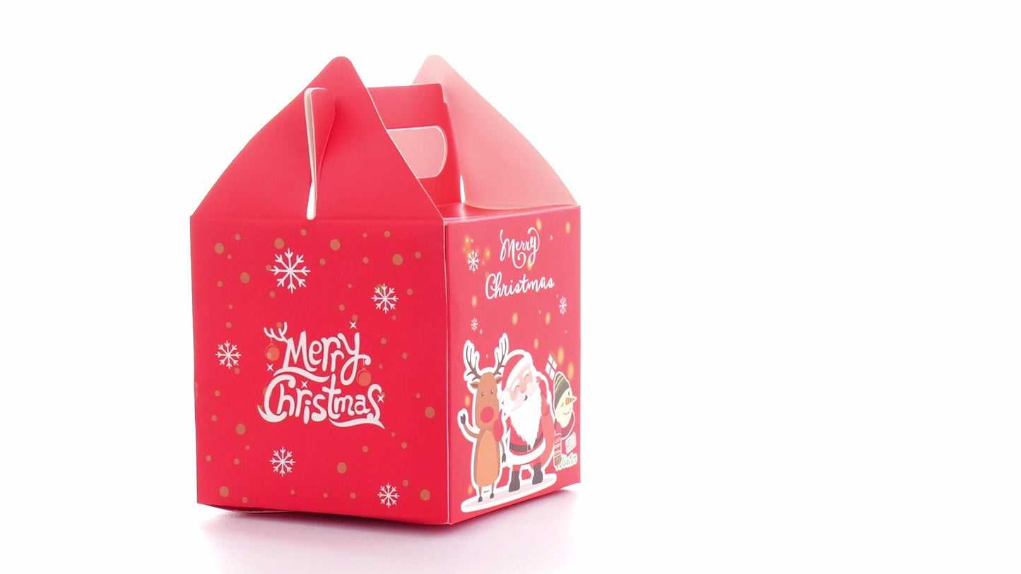 3D Merry Christmas red dog bowl