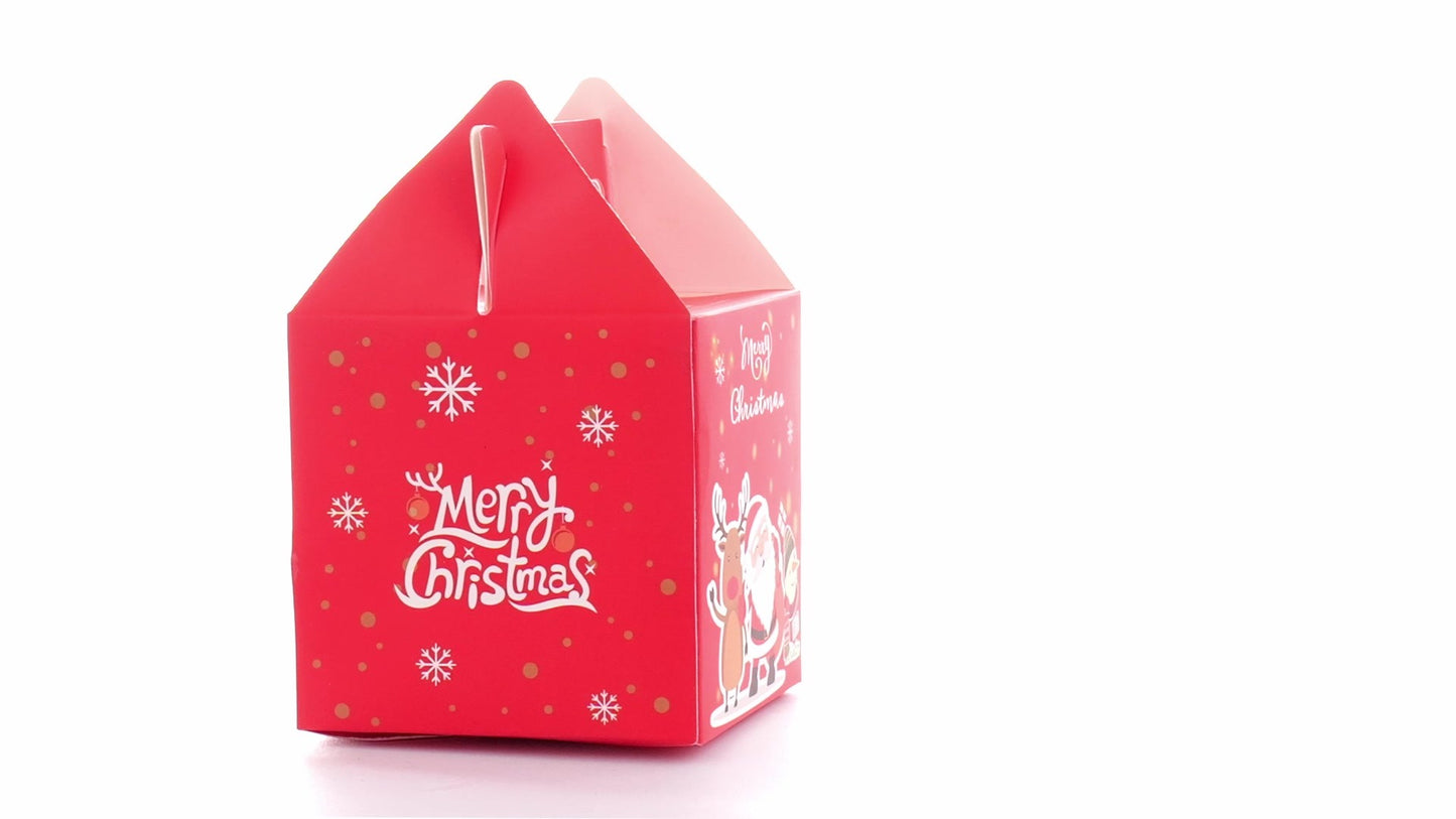 3D Merry Christmas red dog bowl