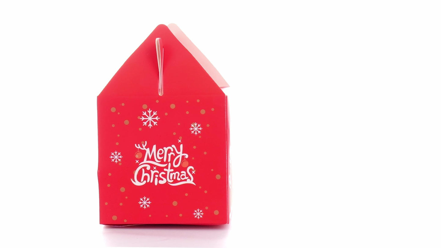 3D Merry Christmas red dog bowl