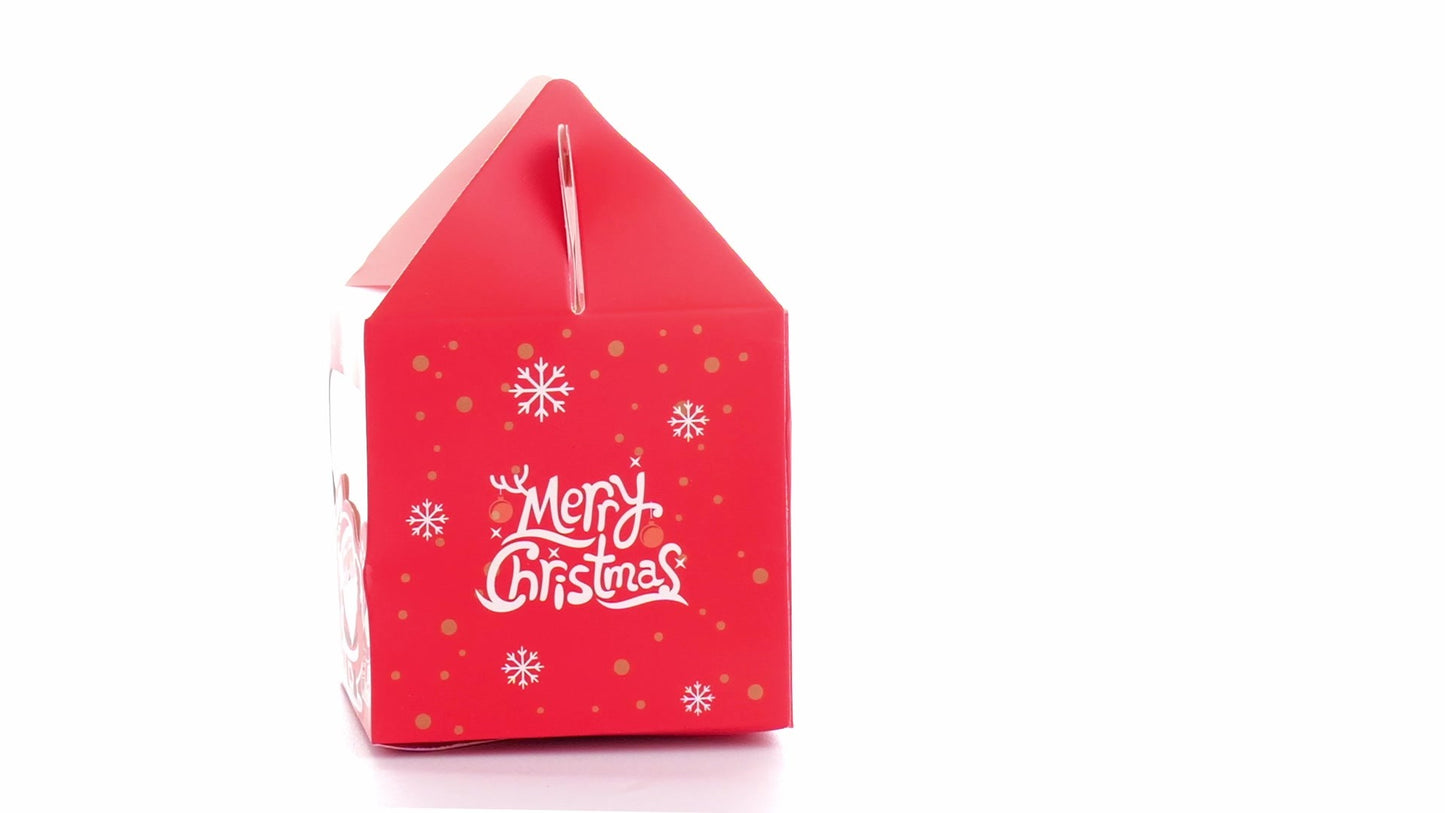 3D Merry Christmas red dog bowl