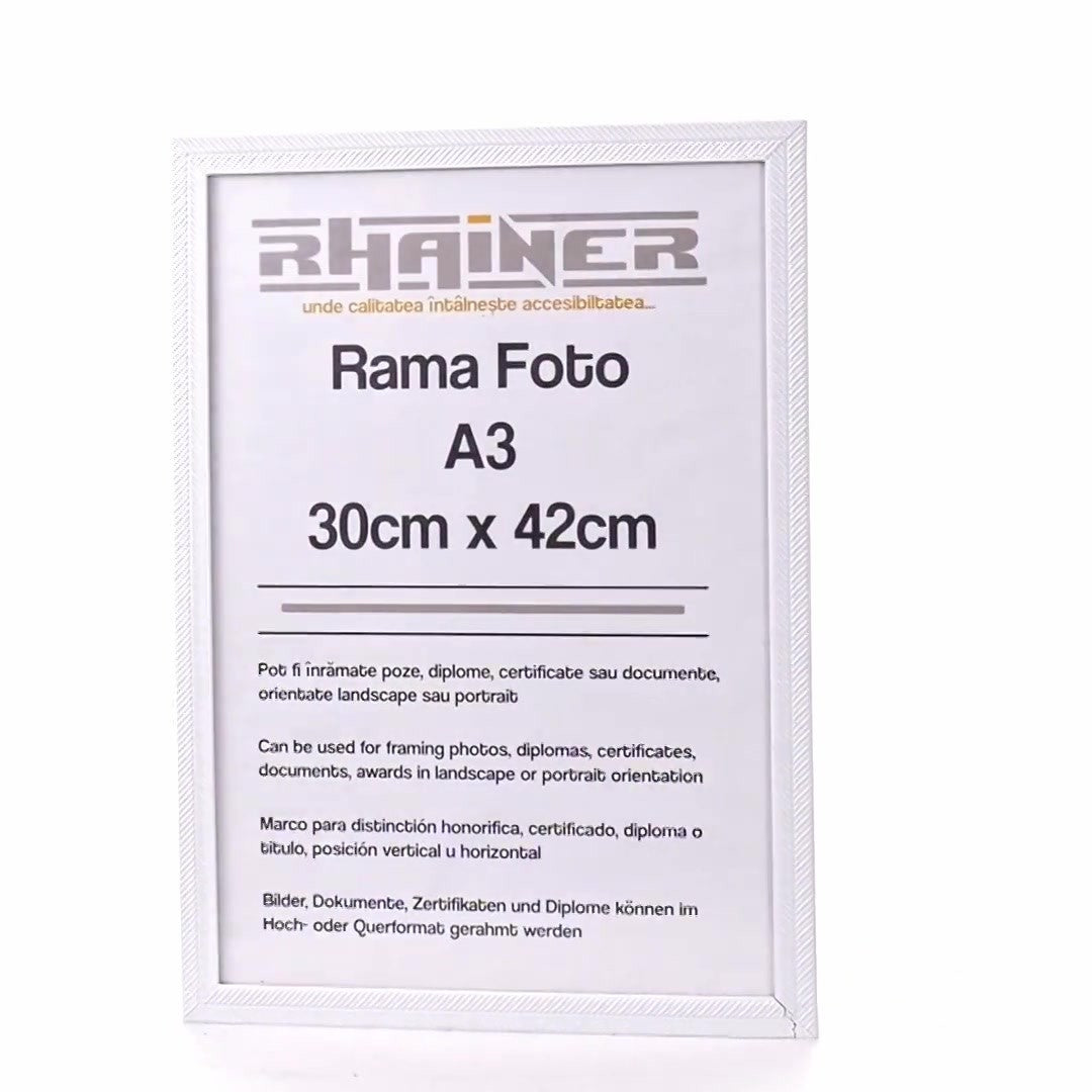 Rama foto Leon alb texturat A3