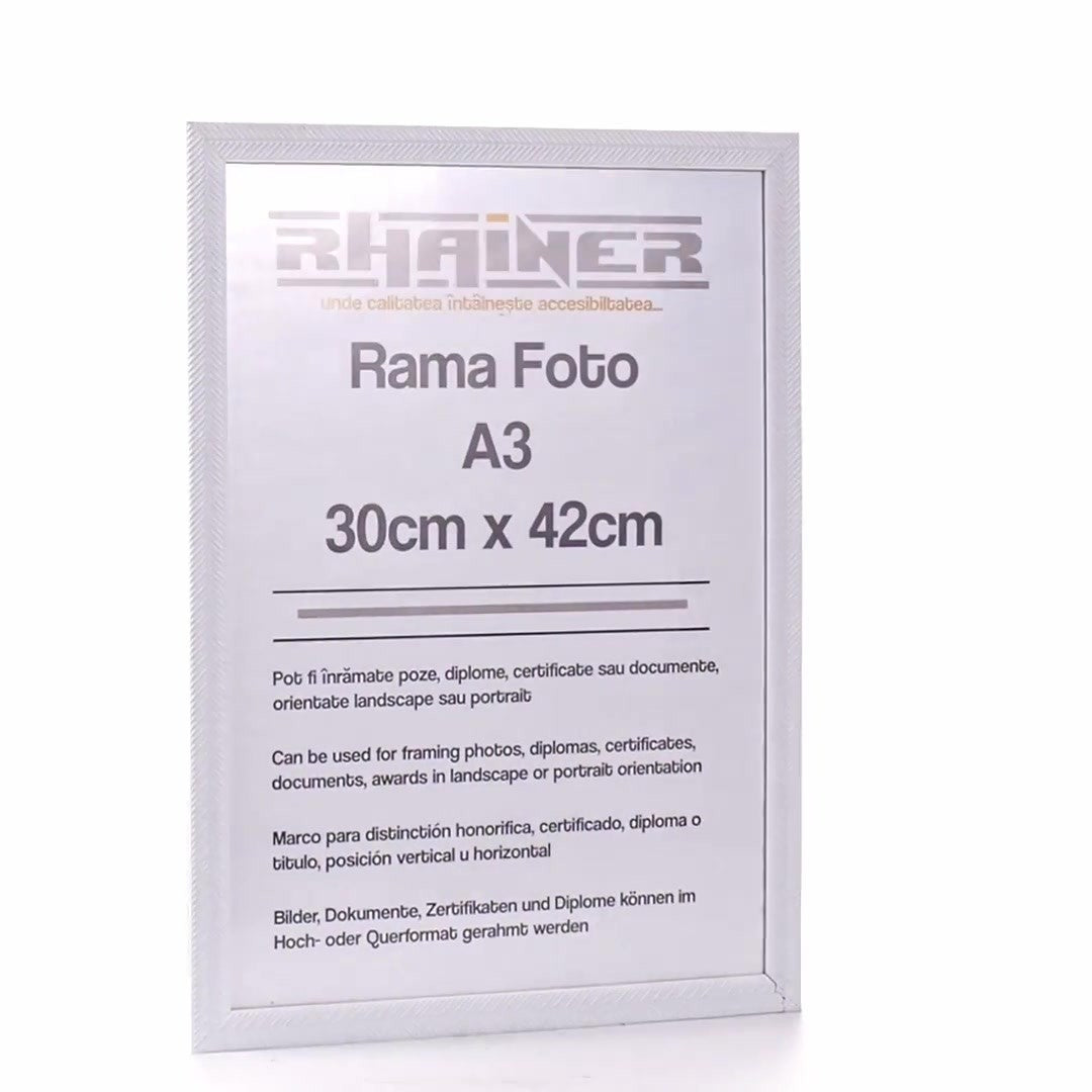 Rama foto Leon alb texturat A3