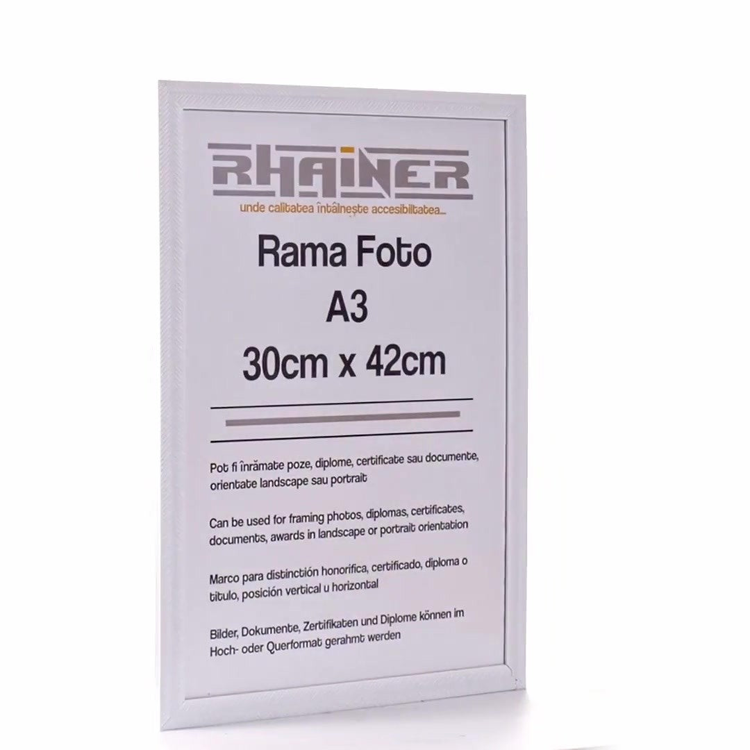 Rama foto Leon alb texturat A3