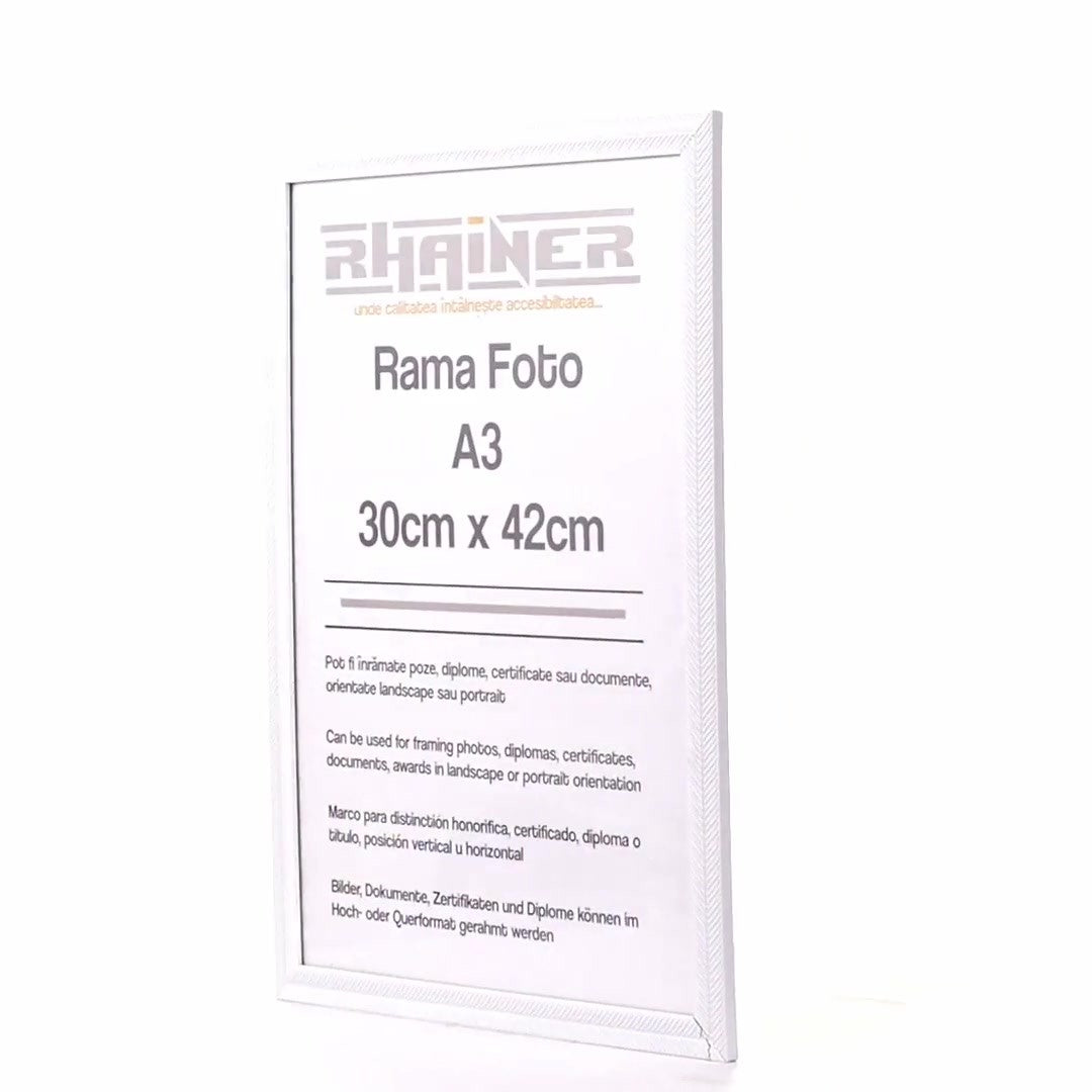 Rama foto Leon alb texturat A3