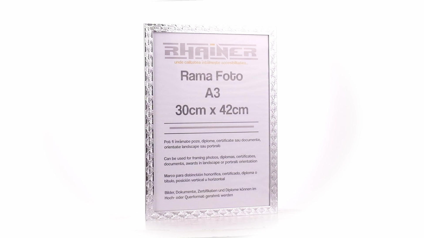 Rama foto Leon argintiu texturat A3