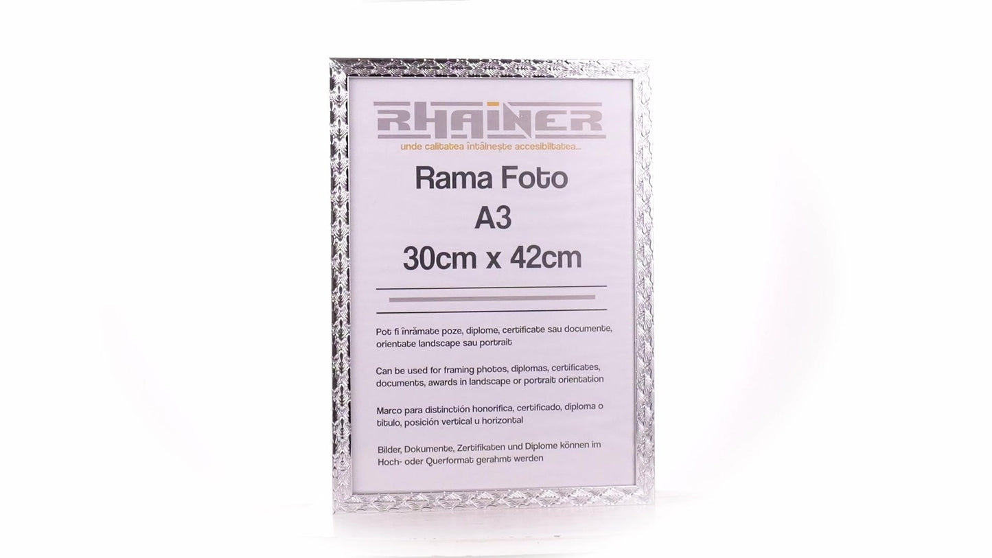 Rama foto Leon argintiu texturat A3