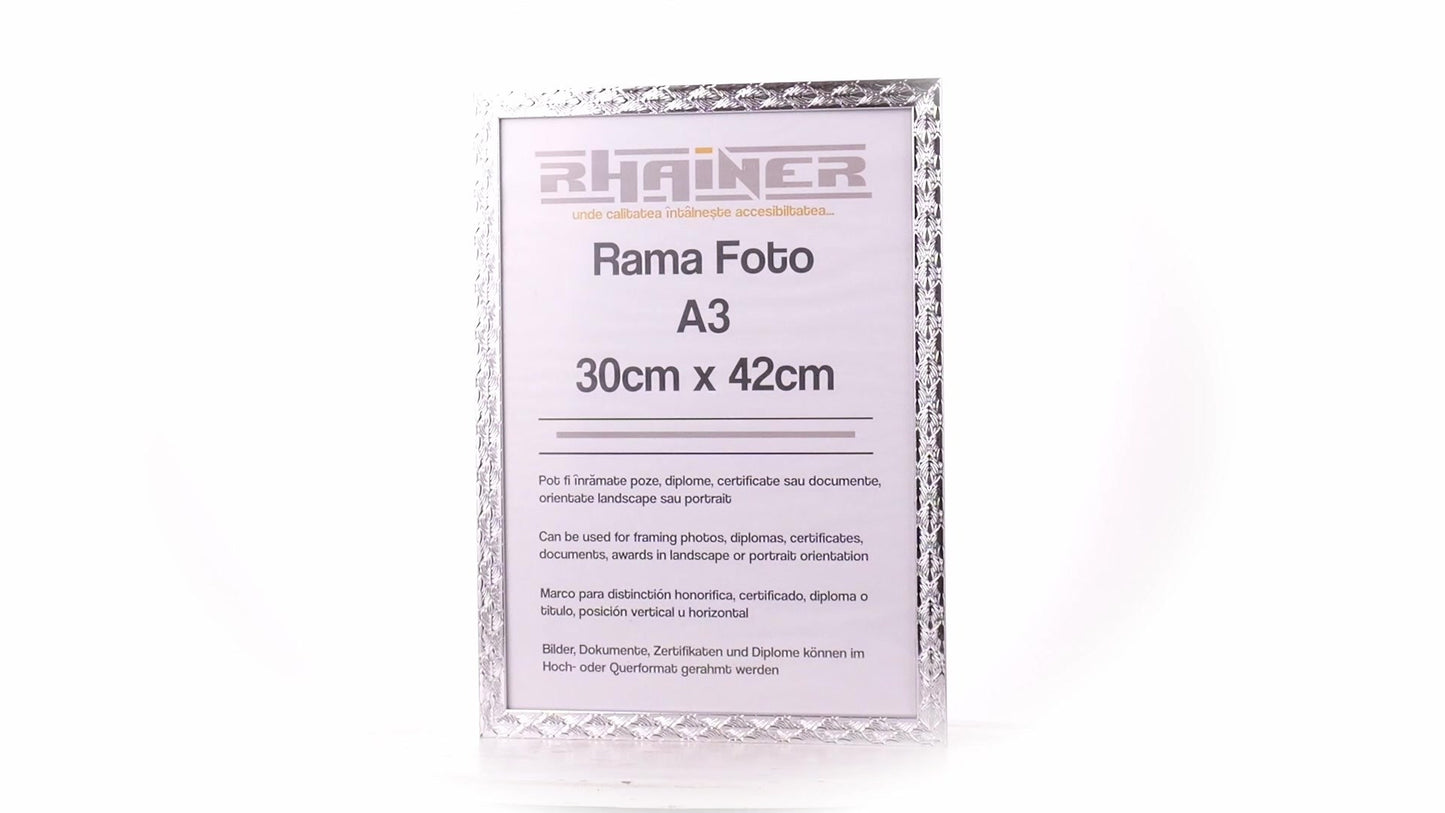 Rama foto Leon argintiu texturat A3