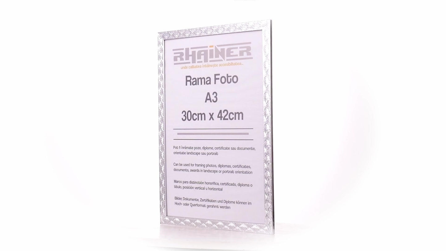 Rama foto Leon argintiu texturat A3