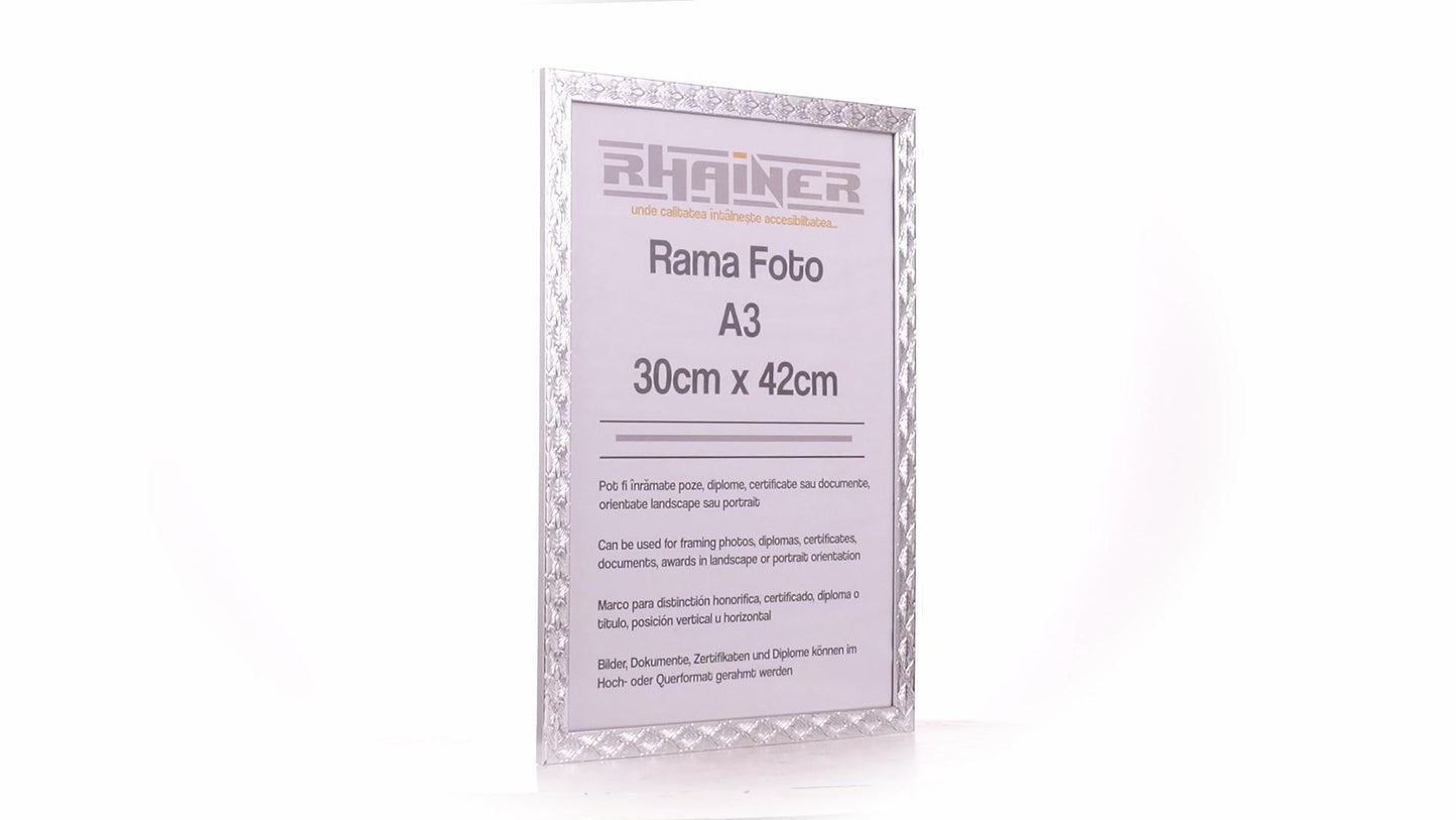 Rama foto Leon argintiu texturat A3