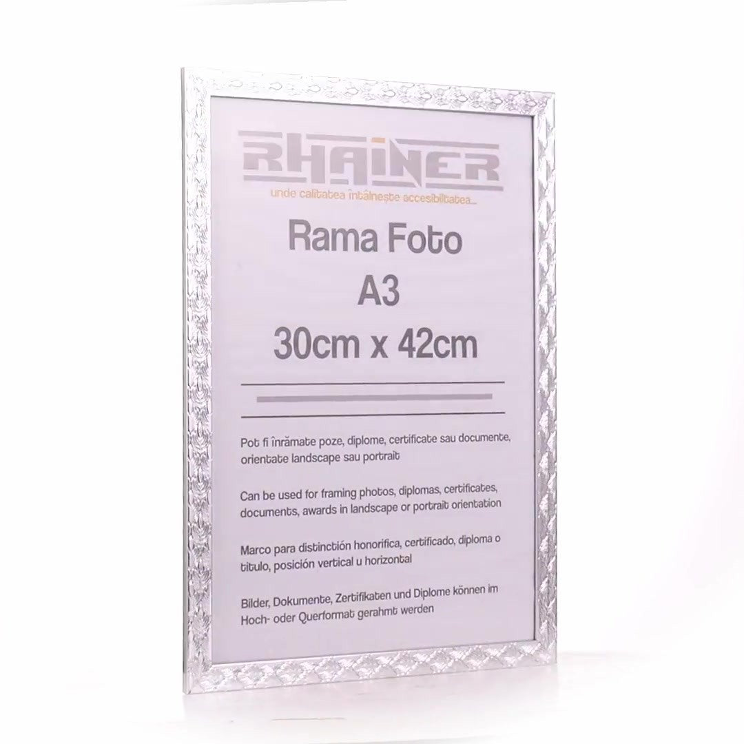 Rama foto Leon argintiu texturat A3