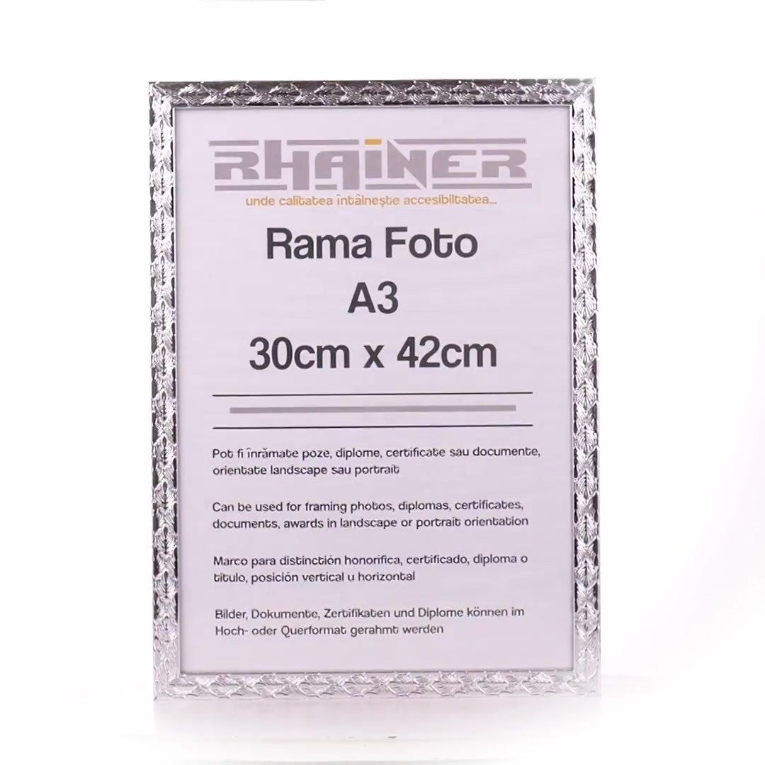 Rama foto Leon argintiu texturat A3
