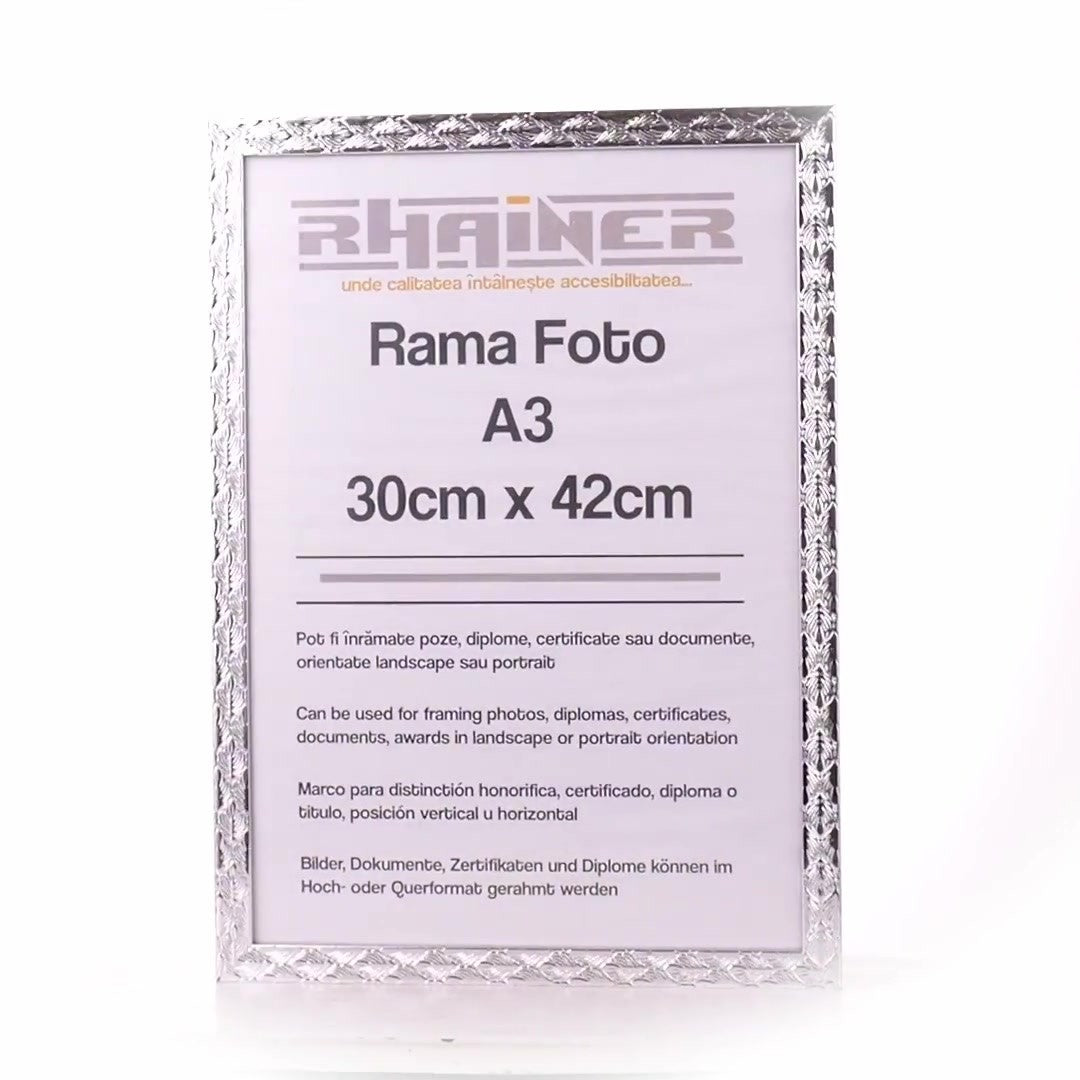 Rama foto Leon argintiu texturat A3