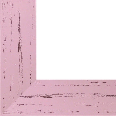 Rama foto Leon roz A3