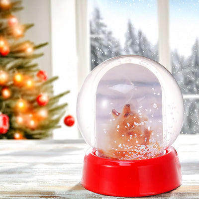 Glob foto Sfera cu zapada