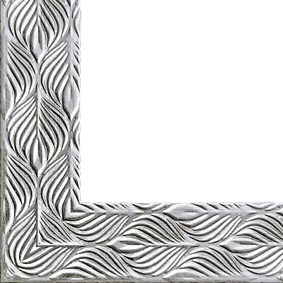 Rama foto Leon argintiu texturat 13x18 FP0862213 - Green Print