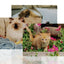 Puzzle A4