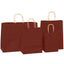 Sacosa kraft rosie 22x23