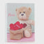 TEDDY2 fotóalbum 100 kép 10x15